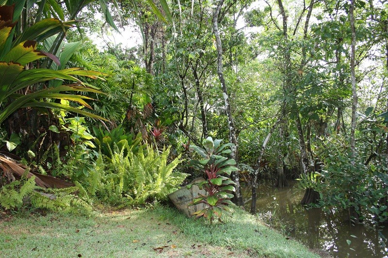 Les Jardins Guyanais Img_2716