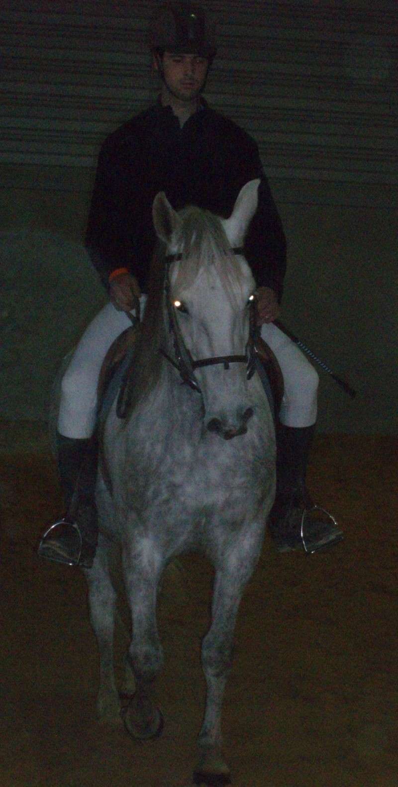 Qualification et concours chevaux Barbes 2008 Osiris11
