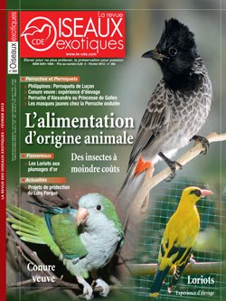 La revue Oiseaux Exotiques 65520_10