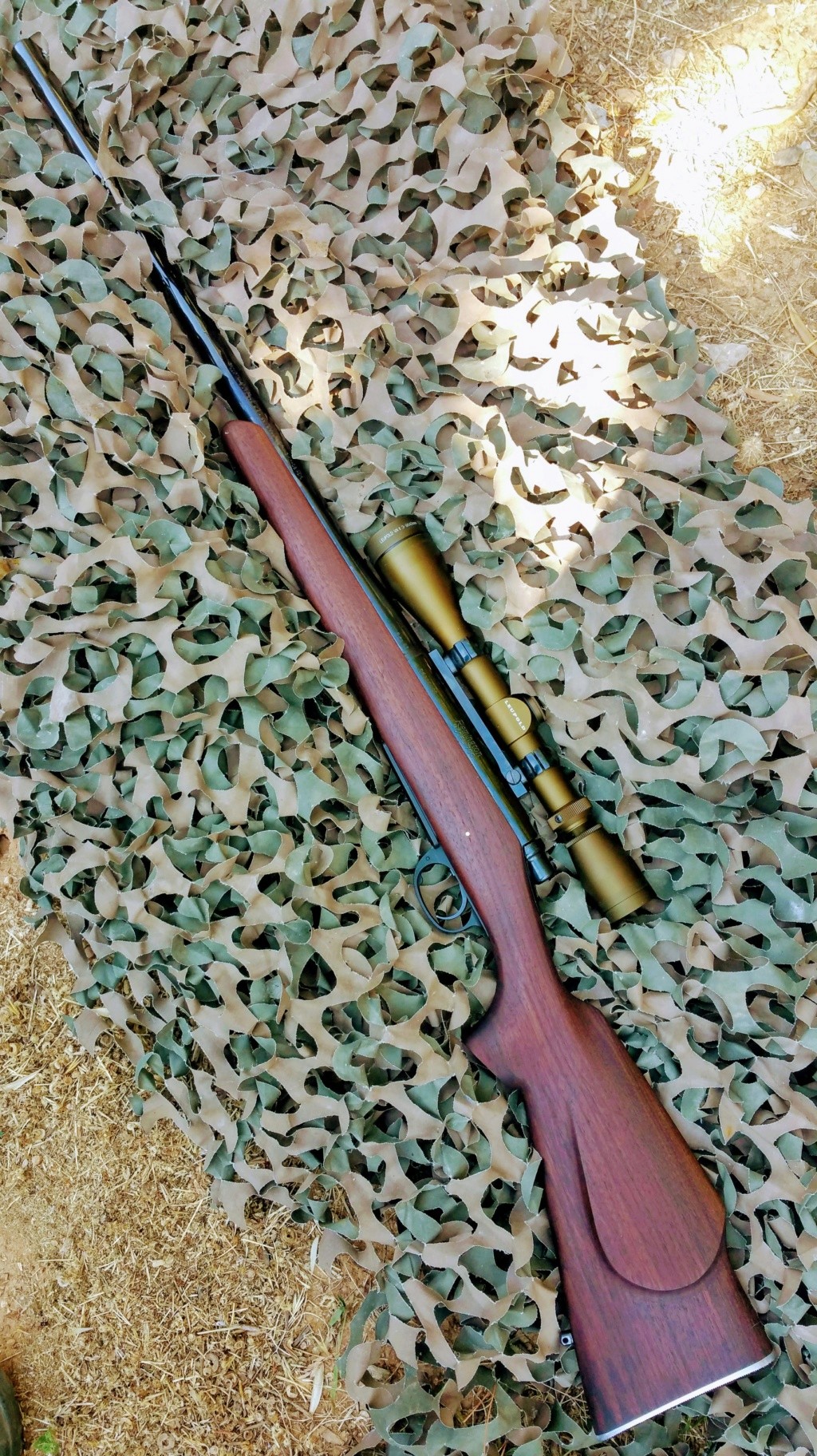Remington 700 BDL Varmint 20180810