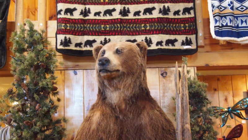 l'OURS dans les boutiques et restaurants - Page 4 Magasi24