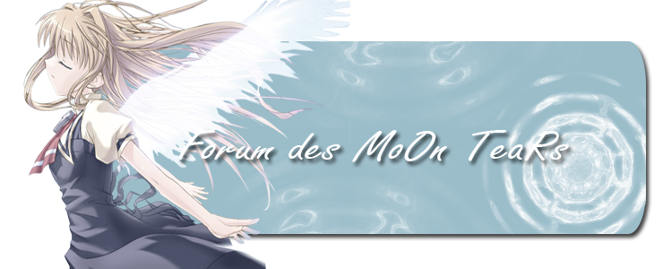 Regarde une feuille de personnage Mt10