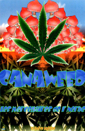 canaweed