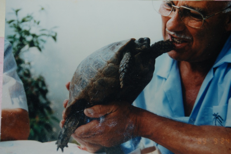 Bécassine, la tortue de mon grand-père... Dsc_0212