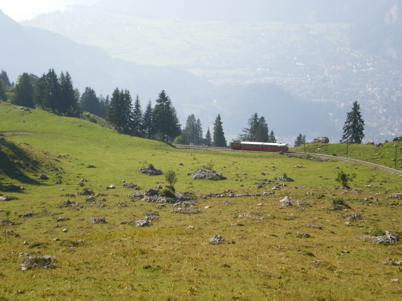 Suisse - Schynige Platte Imgp0629