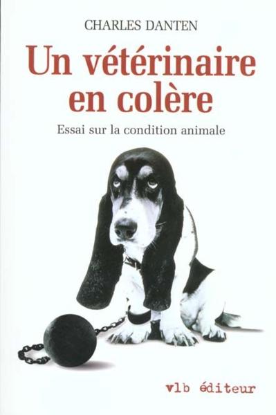 quel collier utilisez vous ? (et autres équipements) 15483211