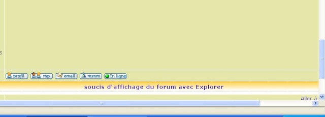 soucis d'affichage du forum avec Explorer Affich10