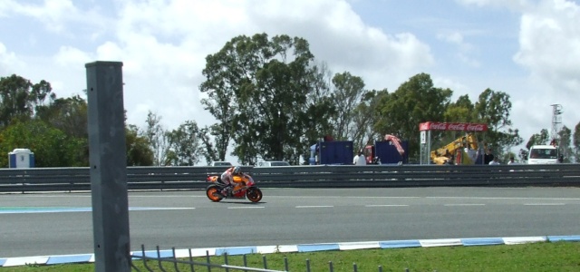 IRTA DE JEREZ 2013 24-3-164