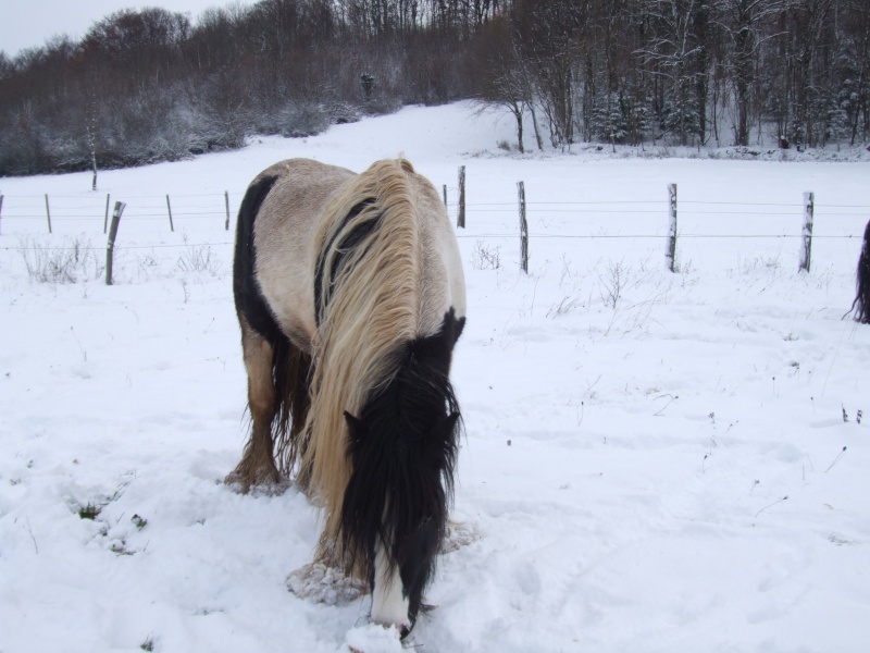 LE LOMONT SOUS LA NEIGE !! (Mauvaise nouvelle page 3) 2008_168