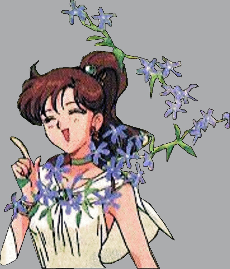 Sailor Moon Flower11