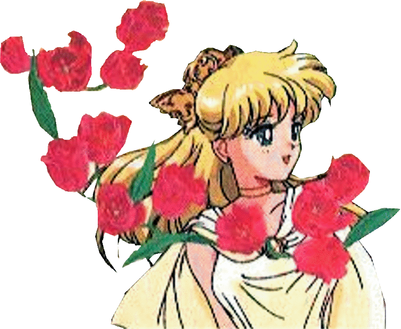 Sailor Moon Prince11
