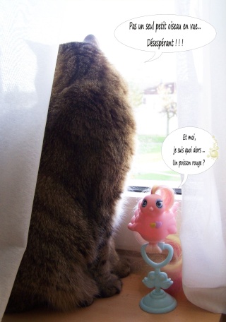 "Des Animaux et des Jouets" [photo] MAJ page 1 - Page 4 Nhtani12