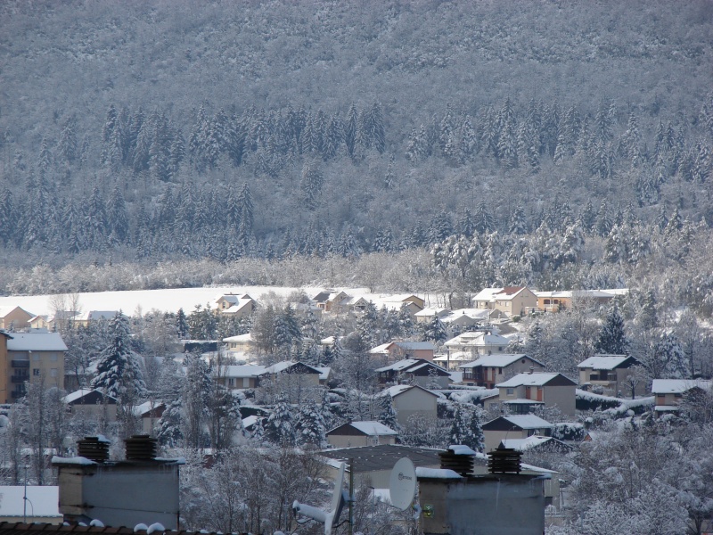 Neige en plaine de l' Ain Dsc04511