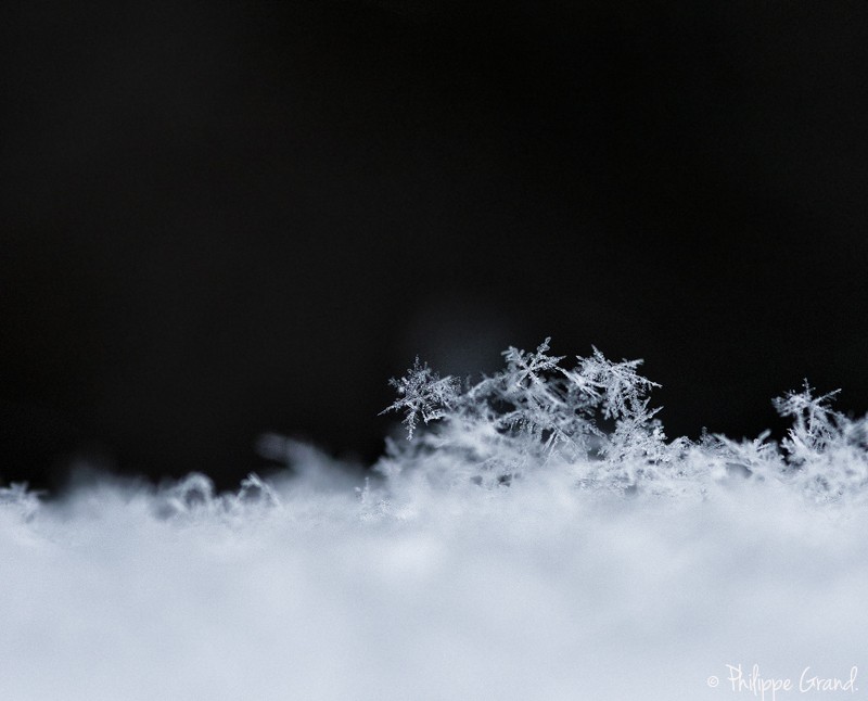 cristaux de neige Phi_4416