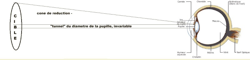 Taille réelle vs taille relative Pupill10