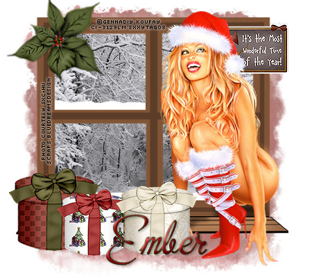 Ember's Christmas Tag Show - Page 4 Gk_noe10