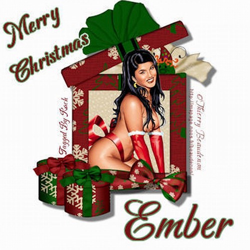 Ember's Christmas Tag Show - Page 8 Mxsemb10