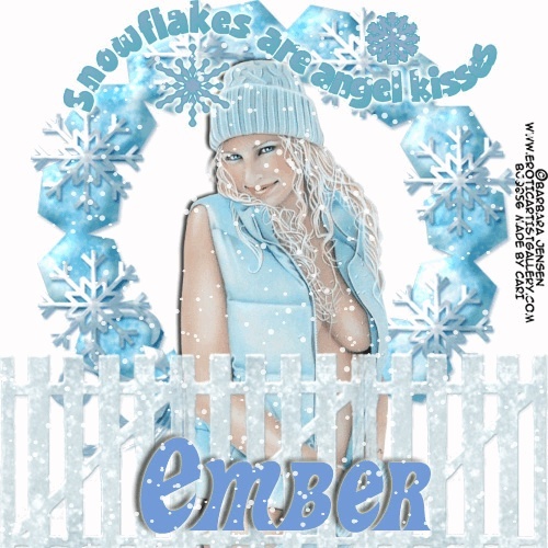 Ember's Christmas Tag Show - Page 6 Snowfl10