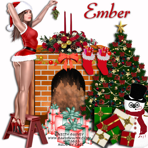 Ember's Christmas Tag Show - Page 7 Xmasfi10