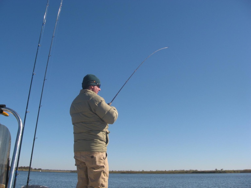 Gulf Coast Game Fish, Ugly Stik, Hollywood, DOA crush delta specks 10-29-2008 Gamefi10