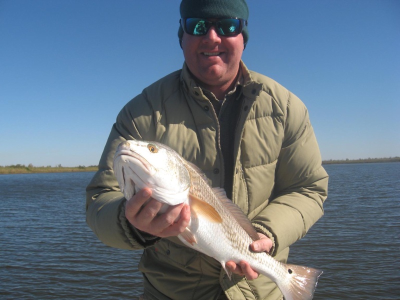 Gulf Coast Game Fish, Ugly Stik, Hollywood, DOA crush delta specks 10-29-2008 Redfis11