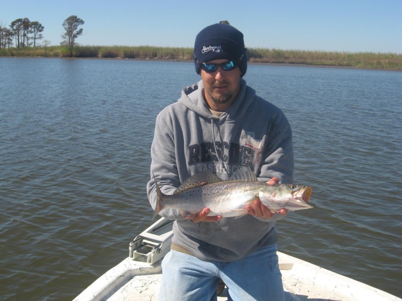 Gulf Coast Game Fish, Ugly Stik, Hollywood, DOA crush delta specks 10-29-2008 Ugly_s13