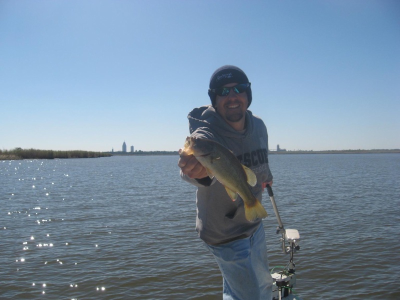 Gulf Coast Game Fish, Ugly Stik, Hollywood, DOA crush delta specks 10-29-2008 Ugly_s14