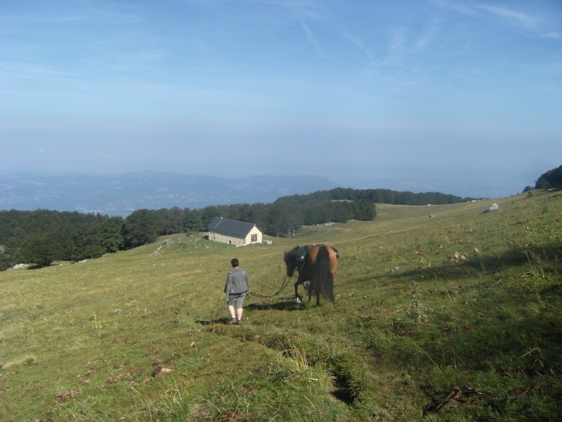 Les 2 Pas en Vercors Pas_de19