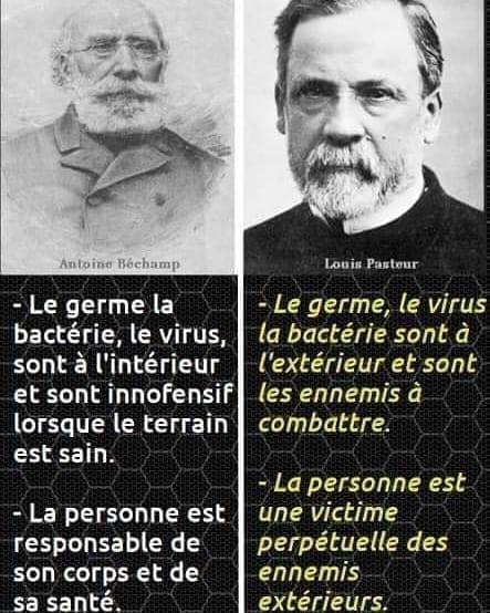 Pasteur : bienfaiteur ou imposteur ?  Pasteu10