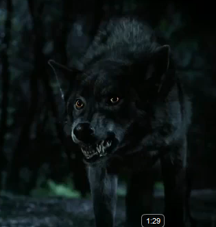 Quel type de Loups-Garous préférez-vous ? Werewo10