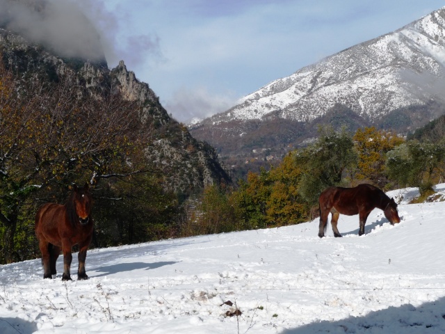 Concours Photo Février : Votre Plus Belle Photo P1020110