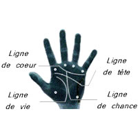 Les doigts; Les monts ; Les lignes Main410