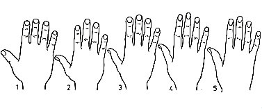 Forme de la main et La forme des ongles Main510