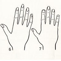 Forme de la main et La forme des ongles Main610
