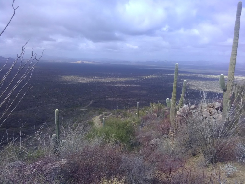 Busqueda de pepitas de oro en Sonora 2019 Paisaj10