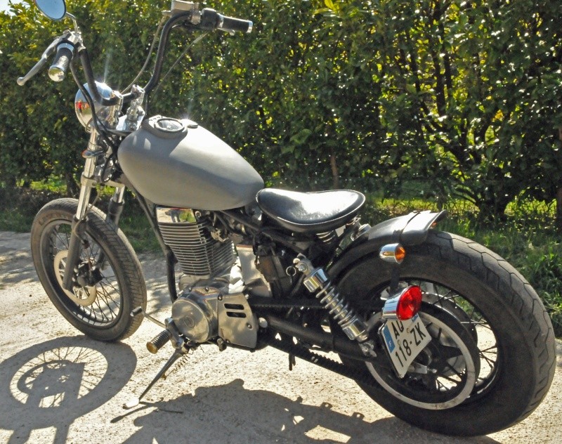 650 savage bobber - Page 6 Dsc_5112