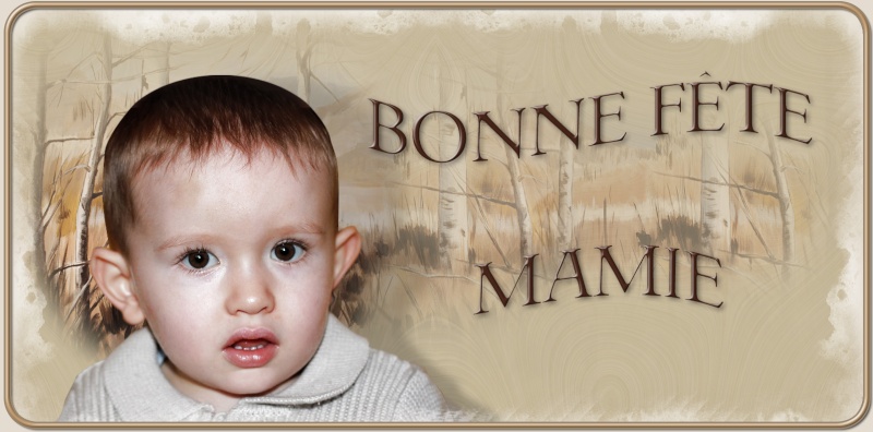 MONTAGE BONNE FETE MAMIE Steph713