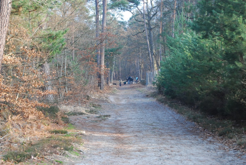 Randonnée et pic nic en foret de fontainebleau le 30 Janvier 2011 - Page 5 Dsc_0132