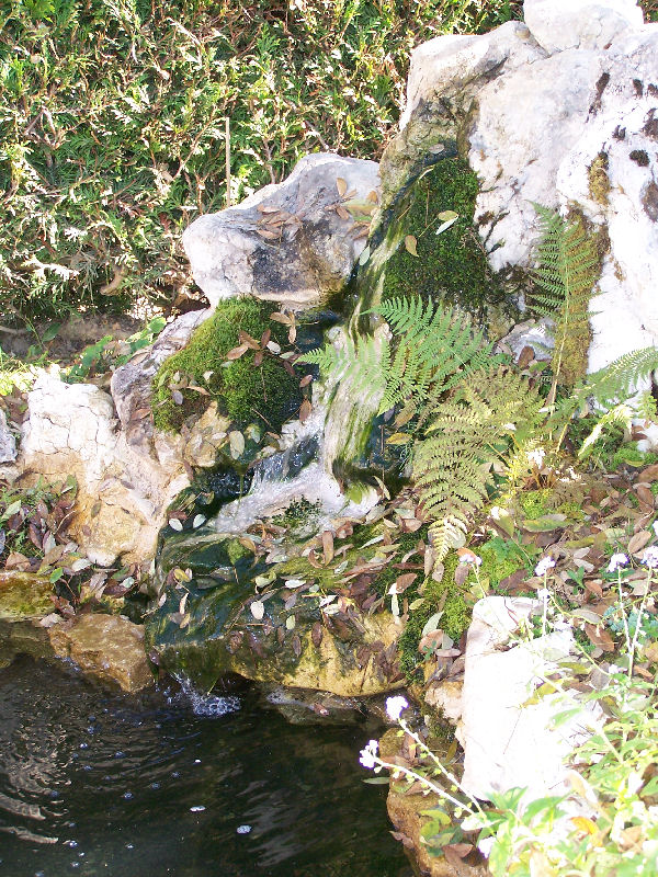 Mon eau a verdi Jardin12