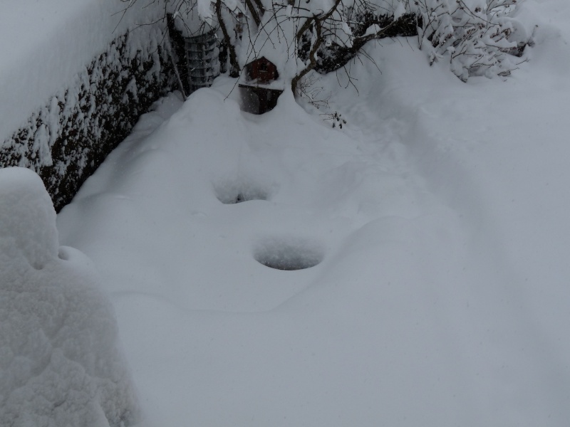 Mon bassin en hiver Neige_11