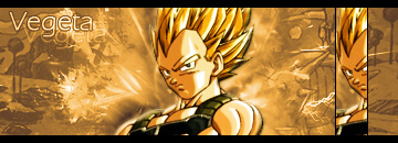 .::Vegeta::. Vagata22