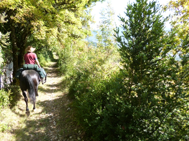 4 jours entre Savoie et Ain..visite en Valromey P1010828