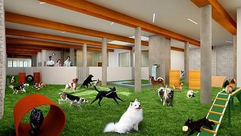 El hotel para perros ms lujoso del mundo Dog-pa10