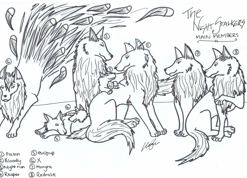 THE PACK 00411