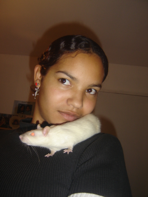 Despé, mon ratoux siamois rien qu'à moi ^^ Photo_15