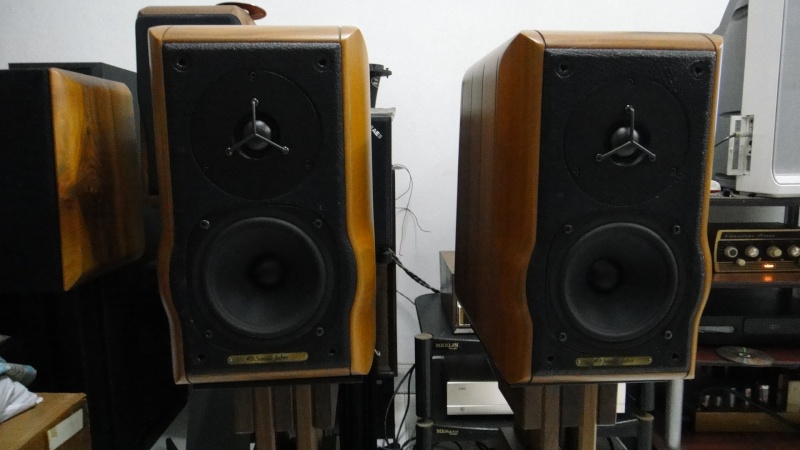 Sonus faber Minima amator speaker (Used)SOLD Dsc03219