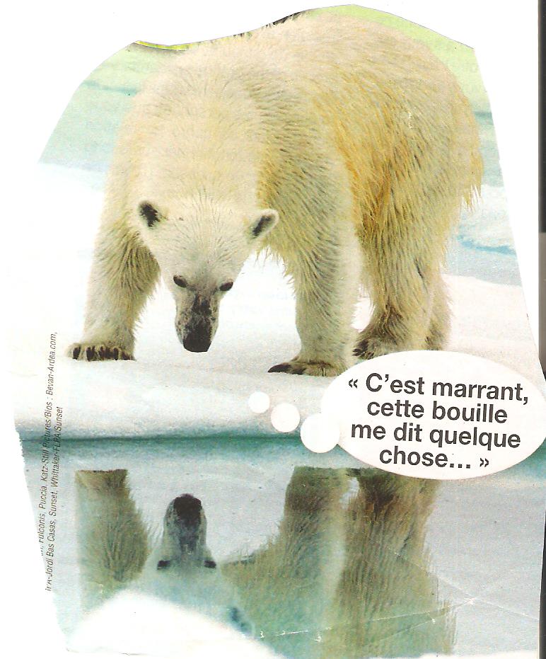 L'ours fait de l'humour Humour21