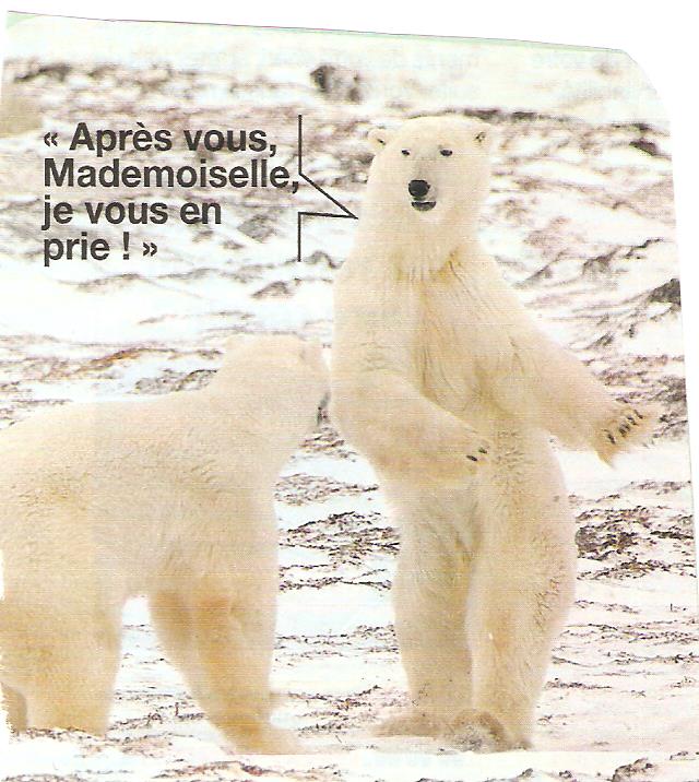 L'ours fait de l'humour - Page 2 Humour35