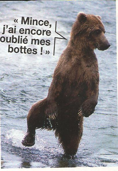 L'ours fait de l'humour - Page 2 Humour36