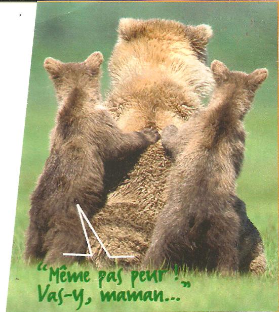 L'ours fait de l'humour - Page 2 Humour42